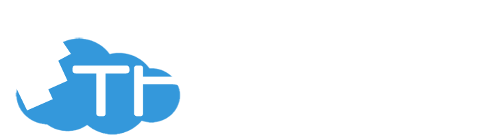 Think Big Software Logo